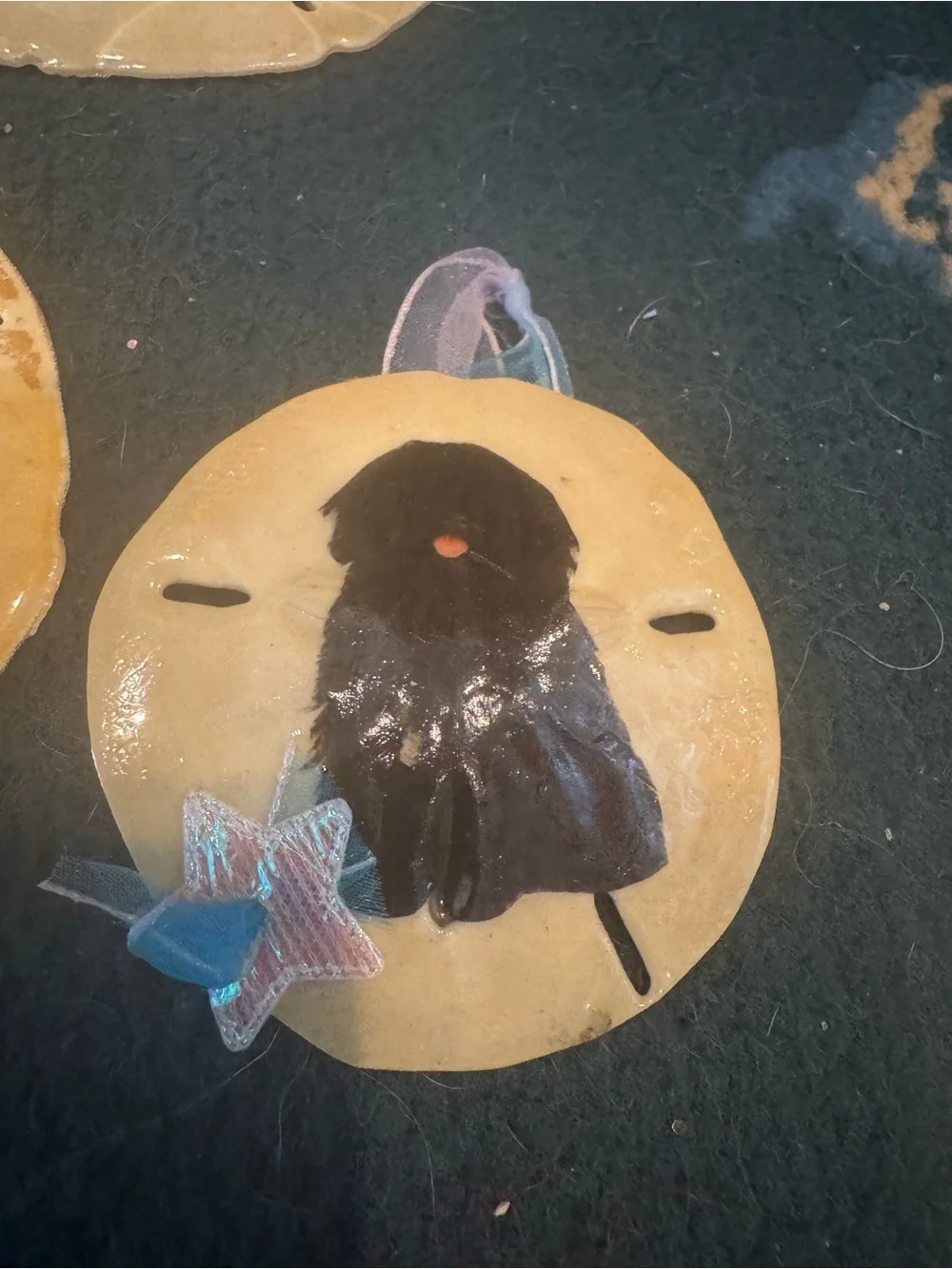 Handmade Dog real Sand Dollar Ornaments - Assorted Colors
